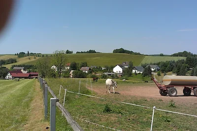 Vakantieappartement Gezinsvakantie Rabenau