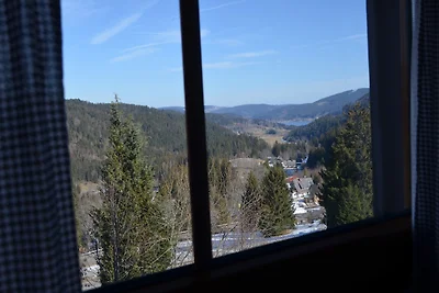 Vakantieappartement Gezinsvakantie Feldberg