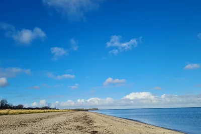 Vakantieappartement Gezinsvakantie Dahme