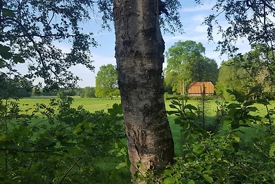 Vakantiehuis Ontspannende vakantie Rotenburg Ortsteil Waffensen