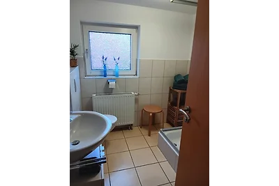 Apart Lachmöwe