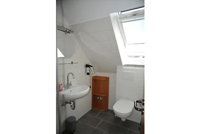 Haus Jodokus, Whg. Professor