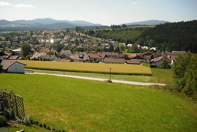 Ferienhaus Holzapfel Häusl