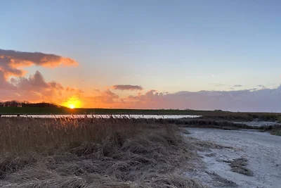Ferien im Wangerland - Haus