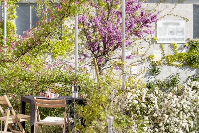 Quindici Alberi Legnaia