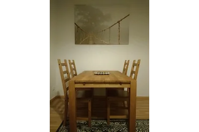 Dresden365 FeWo Pieschen 1 Netflix