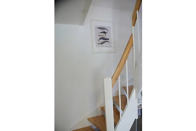 Krähennest am Strand - ABC52