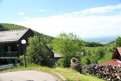 Appartamento Vacanza con famiglia Sasbachwalden