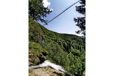 Ferienwohnung Auch am Berg