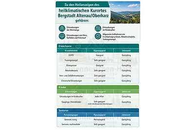 Harz Fewo Eulennestchen S.1