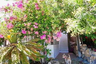 Casa vacanze Vacanza di relax Arico