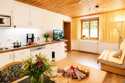 Vakantieappartement Gezinsvakantie Schlitters