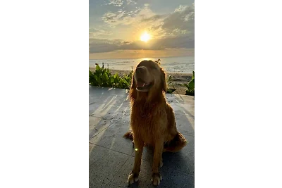 Buddy's Beach House Studio 2