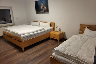 Holiday flat family holiday Oberharz am Brocken