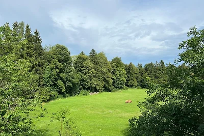Appartamento Vacanza con famiglia Miesbach
