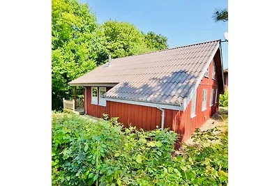 Komfort-Ferienhaus - Extertal