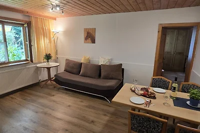 Ferienwohnung Nähe Bergdoktor