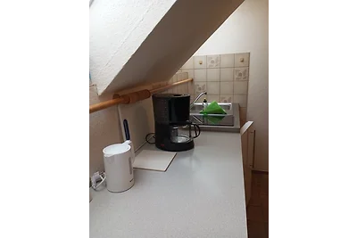 Seepferdchen 5