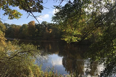 Ferienwohnung Iris I Ruhig &