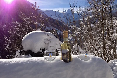 Casa vacanze Vacanza di relax Glarus Süd