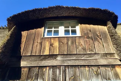Hof Lücke - Ferienwohnung Blau