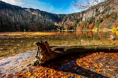 Ferienwohnung "Schwarzwald-Nest"