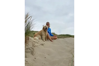 Nr. 88 Neues, ruhiges