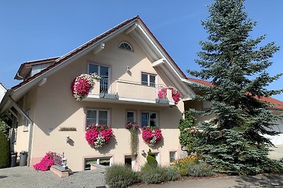 Seldnerstrasse Bodensee Apartment