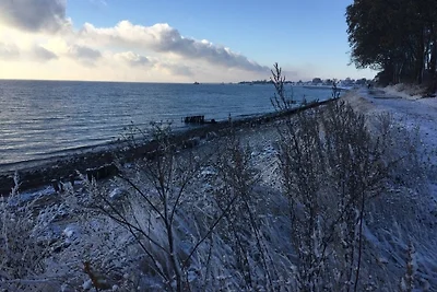 Haus Strandläufer Wohnung 3