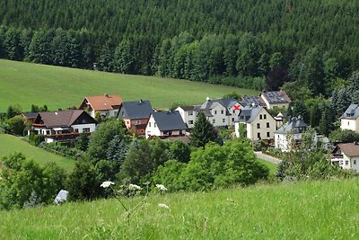 Vakantieappartement Gezinsvakantie Oelsnitz