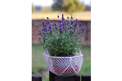 Vakantieappartement Gezinsvakantie Dreetz