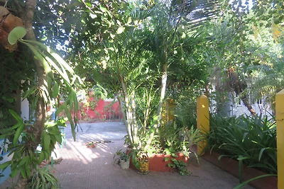 Casa Isabel Castro Appartement 4