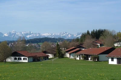 Ferienhaus Nr. 137, Kategorie