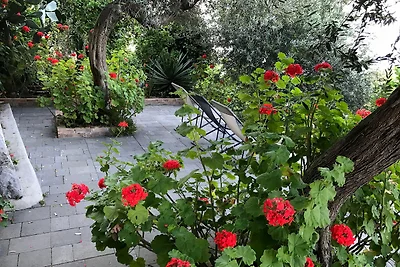 Casa del Cavallo