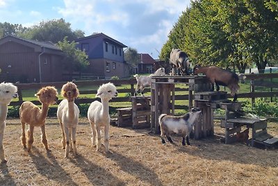 Vakantieappartement Gezinsvakantie Kabelhorst