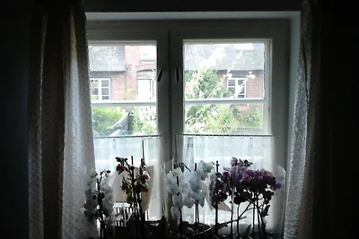 Casa vacanze Vacanza di relax Dagebüll