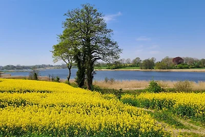 Vakantieappartement Gezinsvakantie Süderbrarup