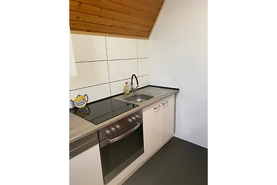 Ferienhaus direkt am Deich