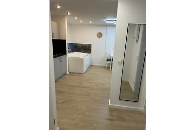 RheinSchatz Apartment 4