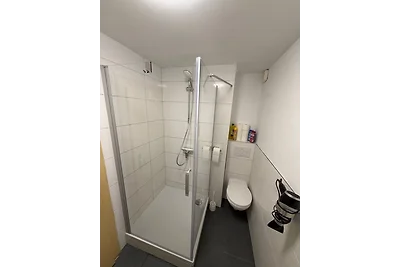 4 Zimmer/ Moderner Alpen-Chic