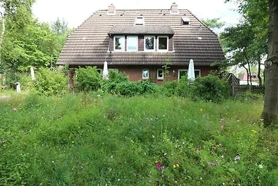 Silbermöwen