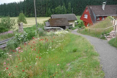 Ferienhaus Elfi