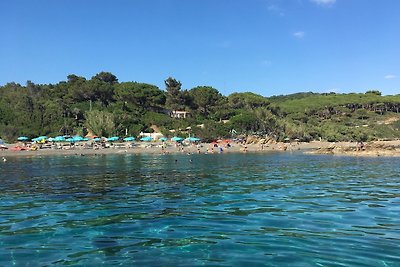 Holiday flat family holiday Capoliveri