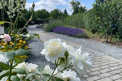 Ferienhaus Amare mit Fasssauna