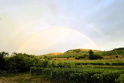 Appartamento Vacanza con famiglia Vogtsburg im Kaiserstuhl