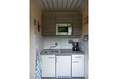 Vakantieappartement Gezinsvakantie Rechenberg-Bienenmühle