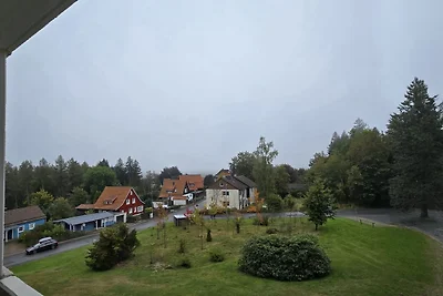 Appartamento Vacanza con famiglia Goslar