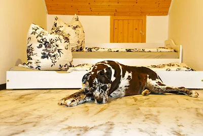 Ferienwohnung Schlossblick