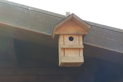 Günstige Wohnung in Ostfriesland (