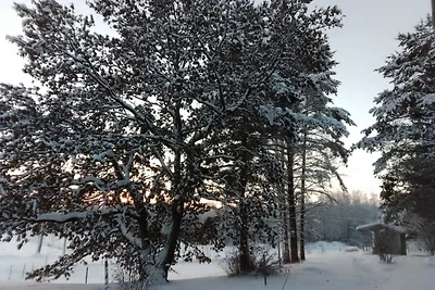 Vakantiehuis Ontspannende vakantie Finland